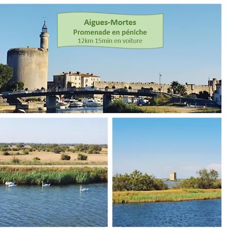 Appartamento T2 West Parking Clim Wifi 4pers - Rossiconciergerie - Linge Inclus *