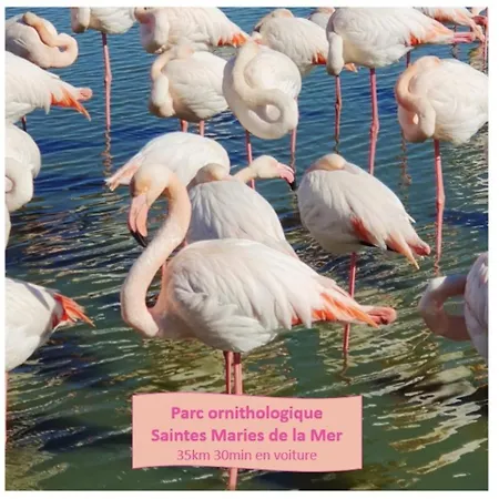 T2 West Parking Clim Wifi 4pers - Rossiconciergerie - Linge Inclus Lägenhet